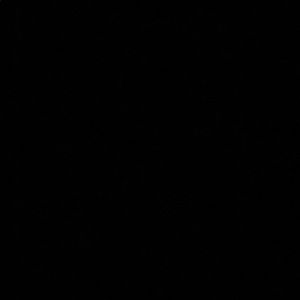 Meet your Posher, Damian